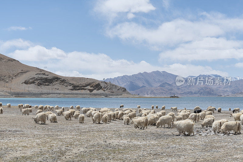 青海的风景stock photo